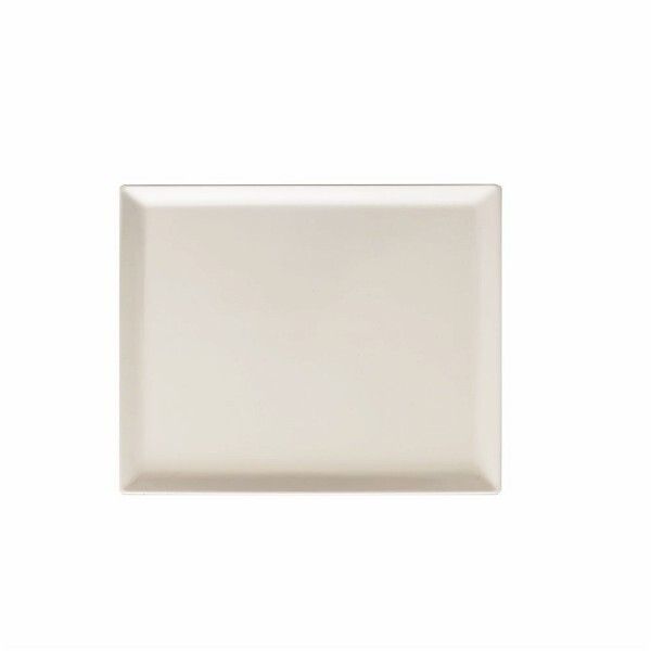 Tray GN 1/2 32.5 x 26.5 cm Show Plate - Tognana
