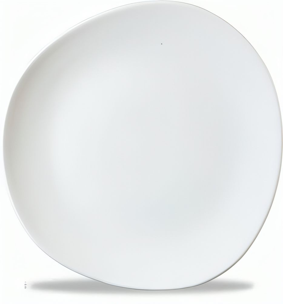 Organic Plate 26.4 cm Trace - Churchill