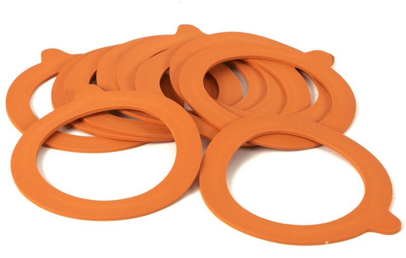 Packung mit 10 Dichtungen, 10 cm Le Terrine Super - Le Parfait