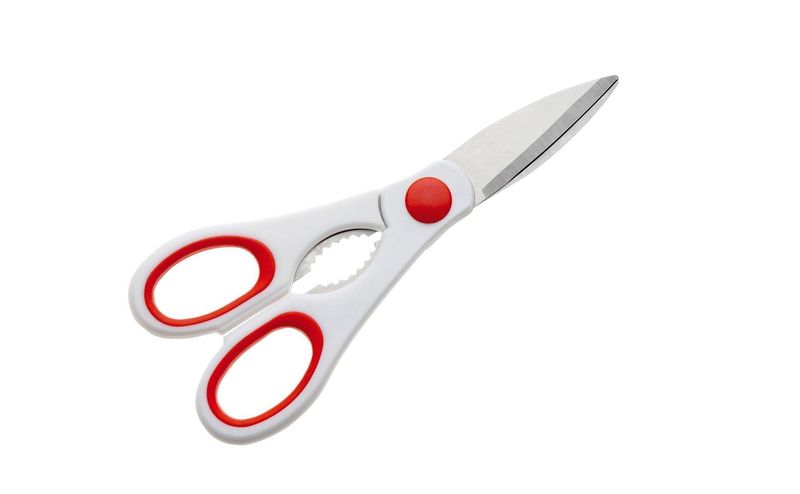 Multi - Purpose Scissors Bimaterial 29 cm - Pedrini
