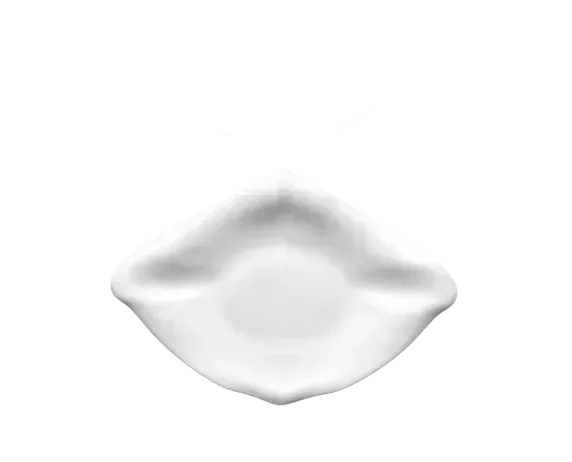 Piatto dessert opaco 31,5 x 22 cm Raya Oceancook - Cookplay