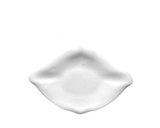 Glänzender Dessertteller 31,5 X 22 cm Raya Oceancook - Cookplay
