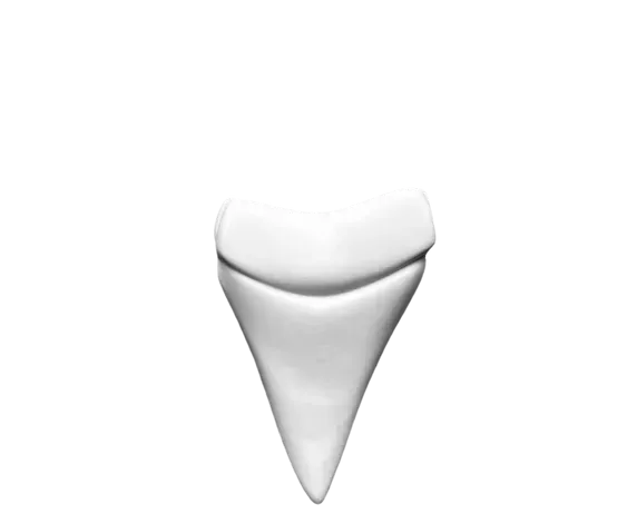 Cookplay piattino inferiore 14x10 cm dente squalo horeca