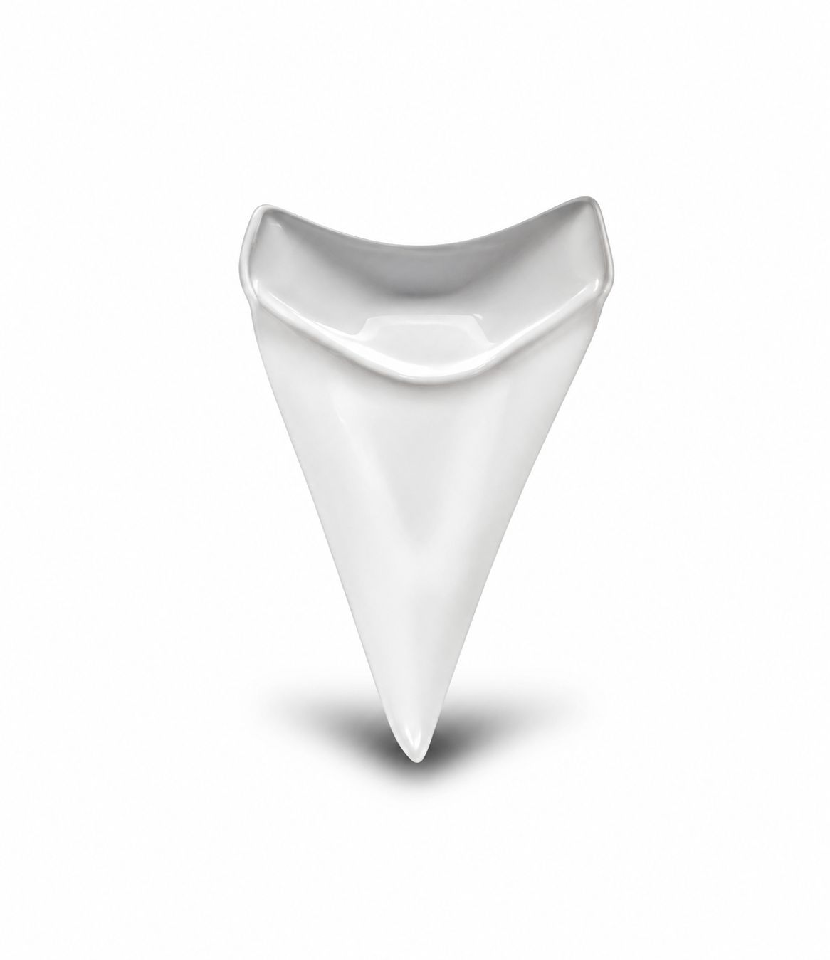Lower Shark Tooth Plate 14 X 10 cm Oceancook - Cookplay