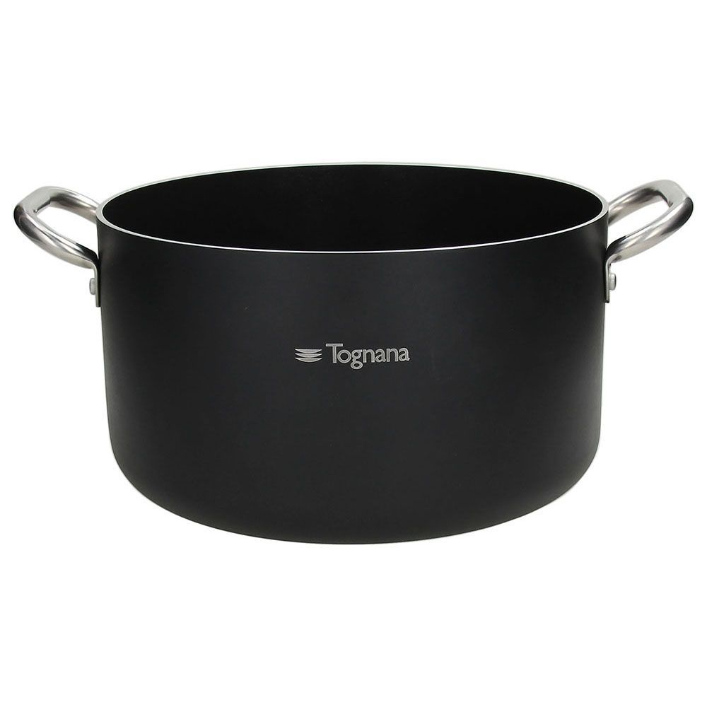 Pot with 2 Handles 32 cm Pro Diamond - Tognana