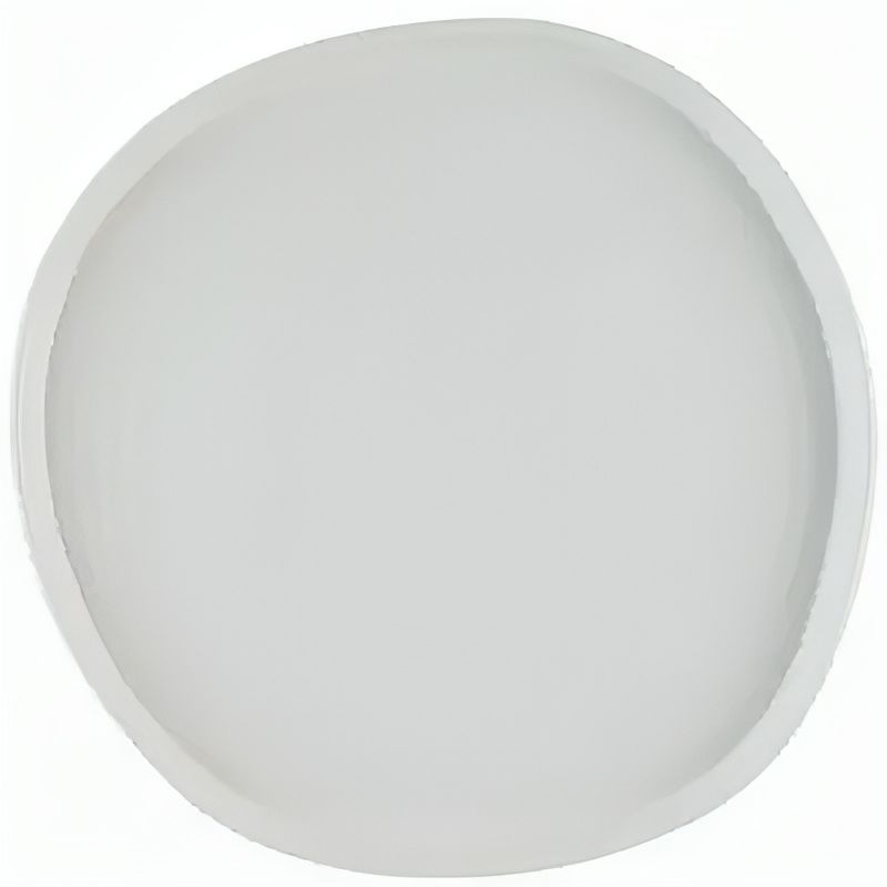 Organic Plate 25 cm Chefs Plates White - Churchill