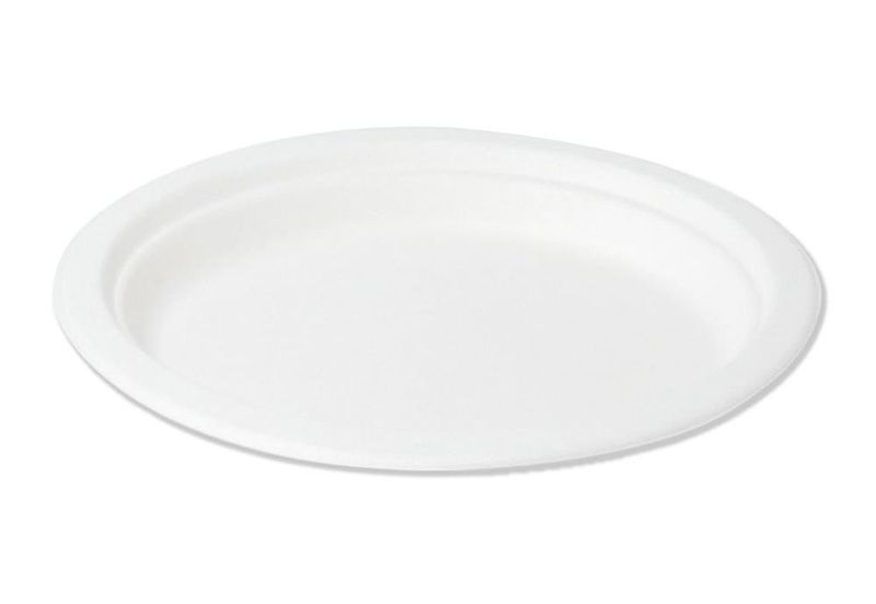 Set of 500 Oval flat plate in pulp 26 x 20 cm Classic - Byo