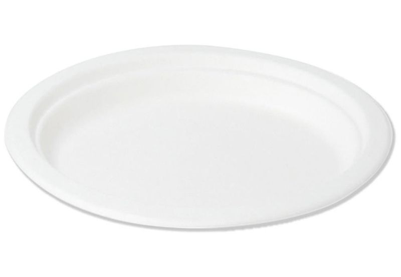 Set of 250 Oval flat plate in pulp 32 x 25.5 cm Classic - Byo