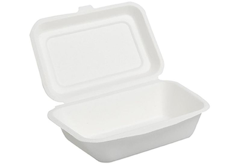 Set of 500 Take-away box in pulp 18.5 x 13.5 cm - Byo