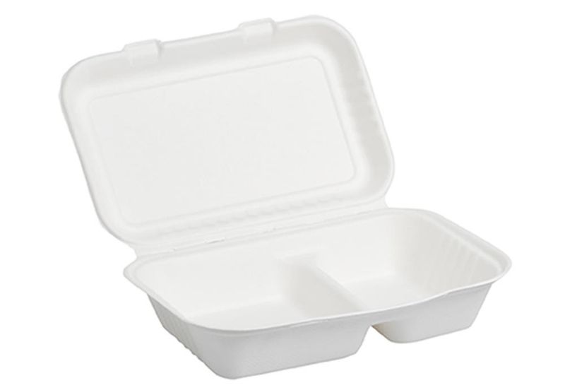 Set of 250 Takeaway box with 2 compartments made of pulp 25 x 16.5 cm - Byo