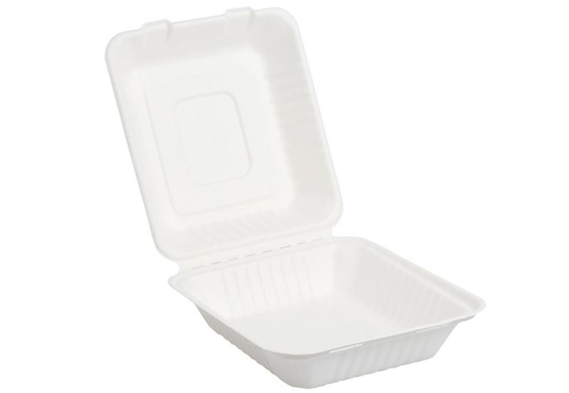 Set of 250 Take-away box in pulp 23 x 23 cm - Byo