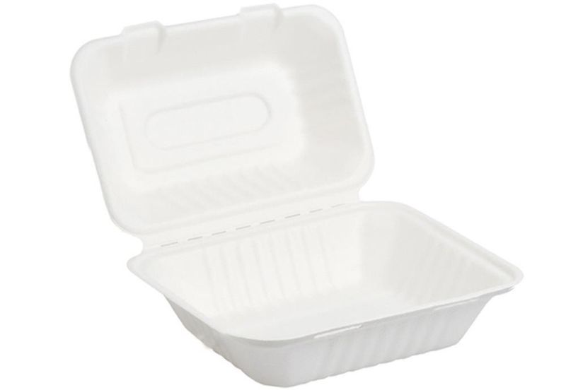Set of 250 Takeaway Box in pulp 23 x 15.5 cm - Byo