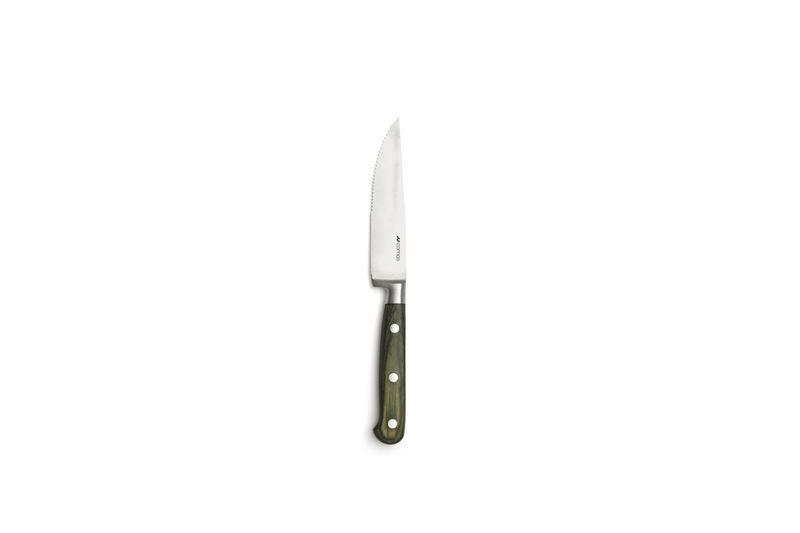 Comas Steakmesser Lhotse gruenes Pakkaholz Edelstahl Gastronomie