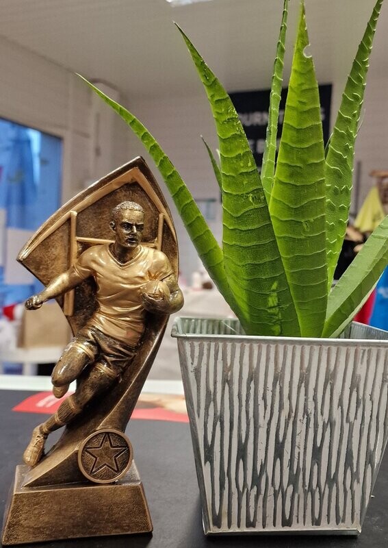 Trophée rugby
