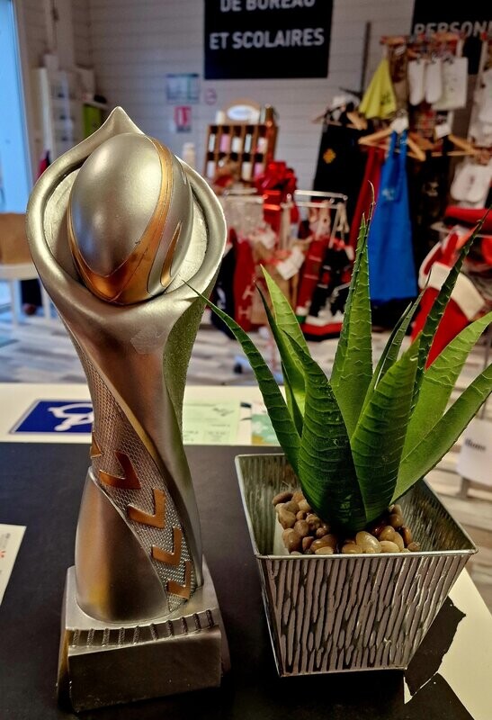 Trophée Ballon Rugby