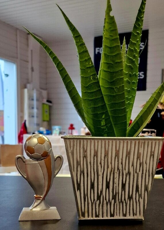 Trophée coupe foot
