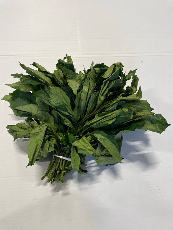 Fresh Ugu (Pumpkin Leaves) Bunch