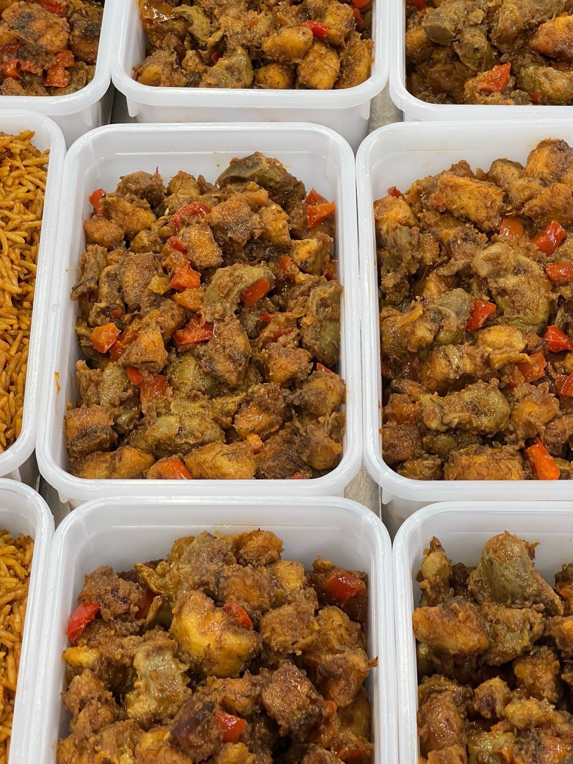 GIZDODO (1 Litre tray)