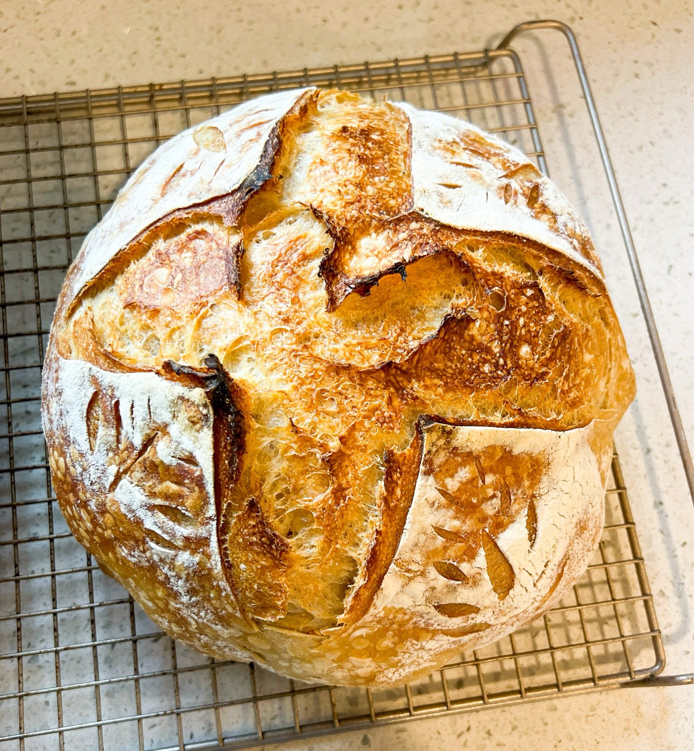 Large Sourdough Round For Thanksgiving