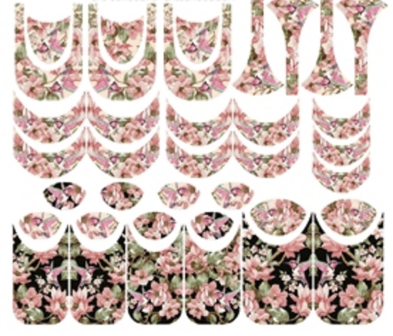 Naildress Slider Design Colibri