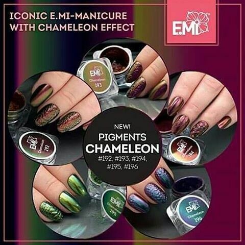 Set of 5 Pigment Chameleon #192-196, 0,5 g.