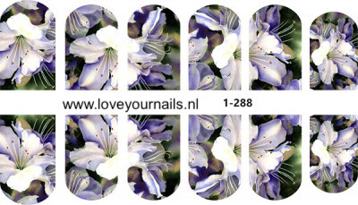 Lilly 1-288