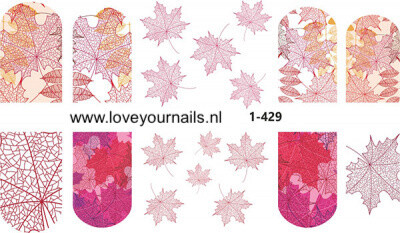 Esdoornblad 1-429