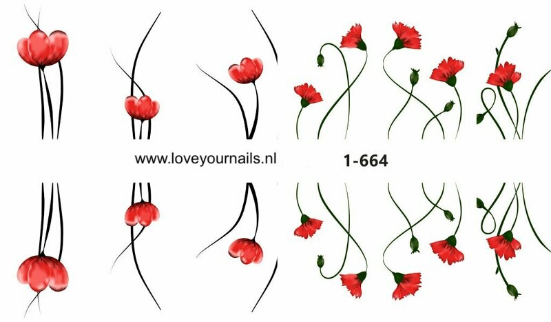 Rode bloemen  1-664