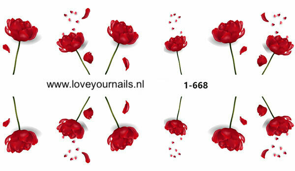Rode bloemen 1-668