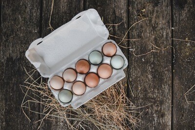 1-Monatsabo 10er Eier
