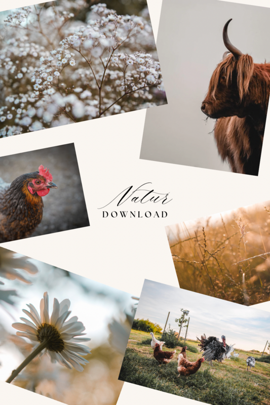 Natur Poster - digitaler Download Natur Poster - digitaler Download