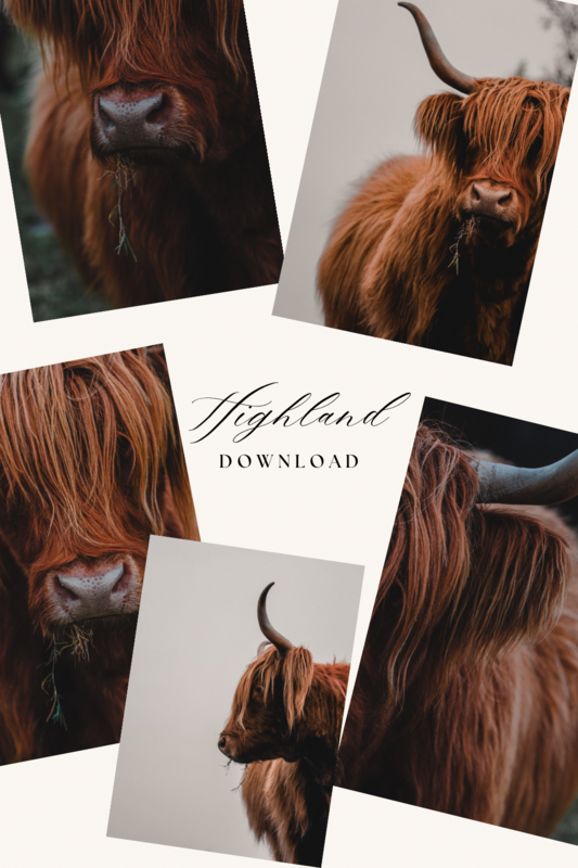 Highland Poster - digitaler Download Highland Poster - digitaler Download
