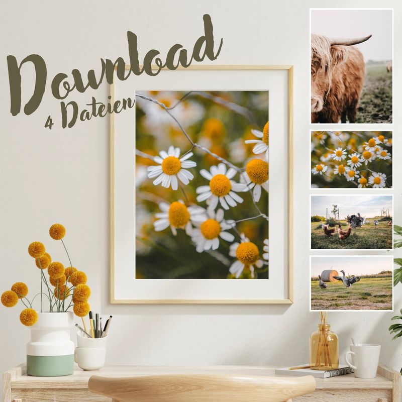 Poster - Natur Pur - digitaler Download 🌿🌾 Poster - Natur Pur - digitaler Download 🌿🌾