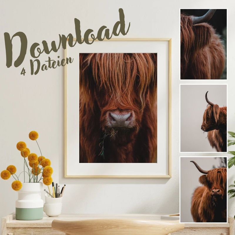 Poster - Highland - digitaler Download 🌿 🐮 Poster - Highland - digitaler Download 🌿 🐮