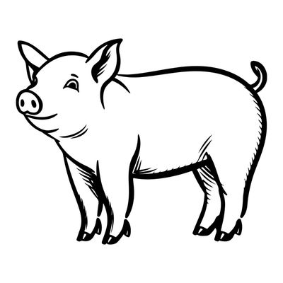vom Freilandschwein