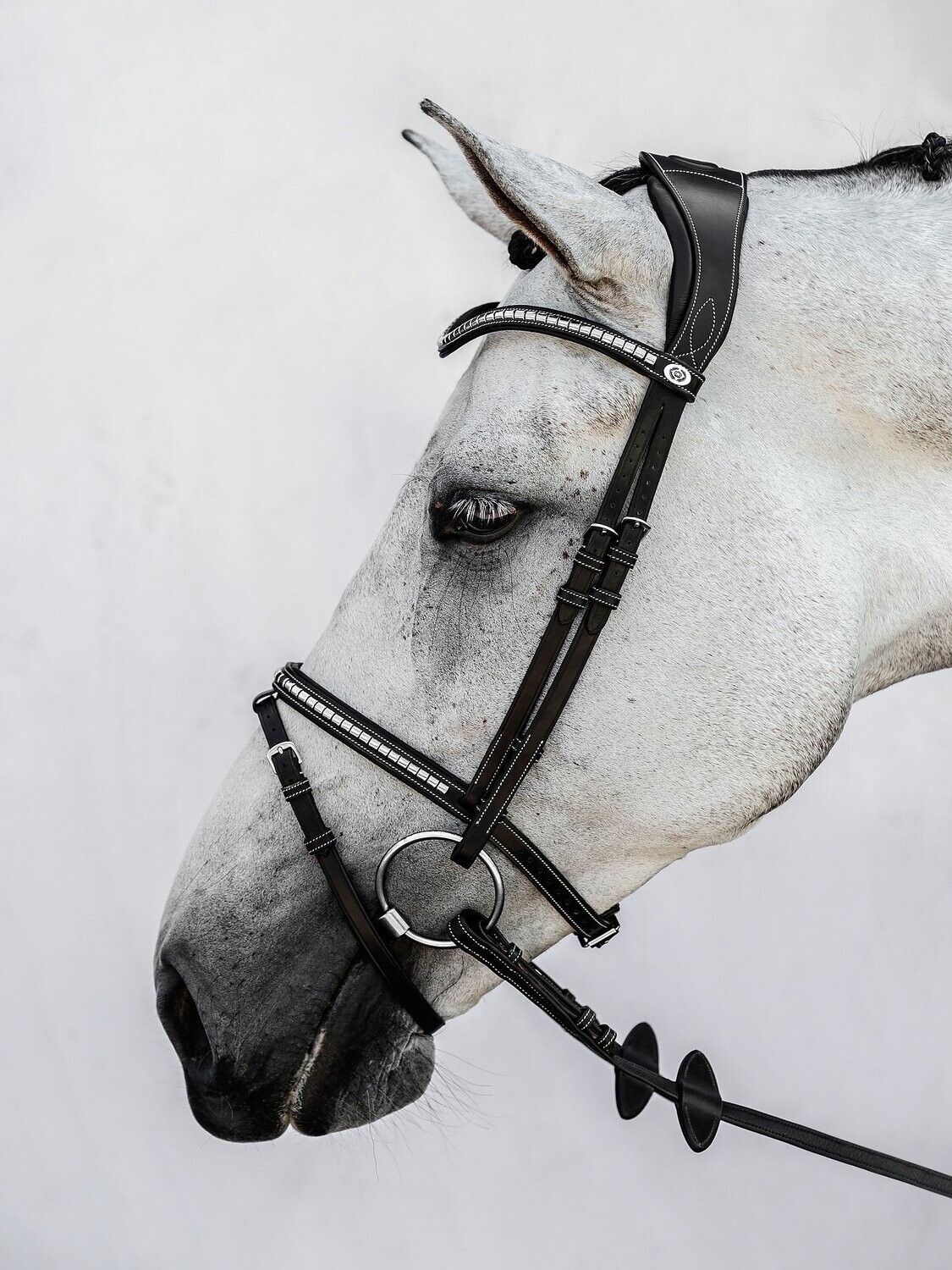 PS of Sweden Hoofdstel Amsterdam