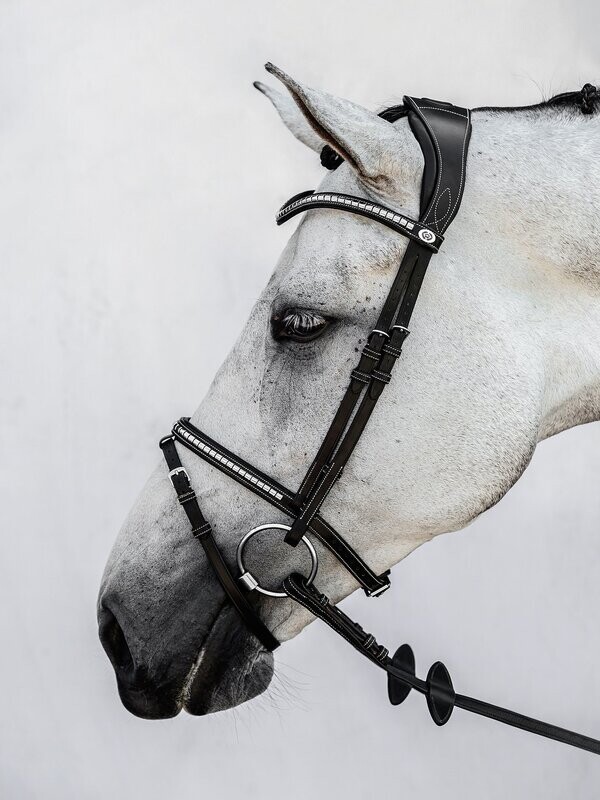 PS of Sweden Hoofdstel Amsterdam