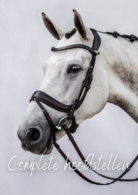 Complete hoofdstellen