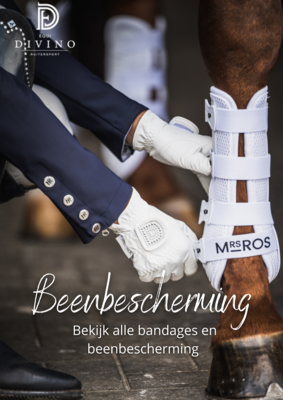 Beenbescherming
