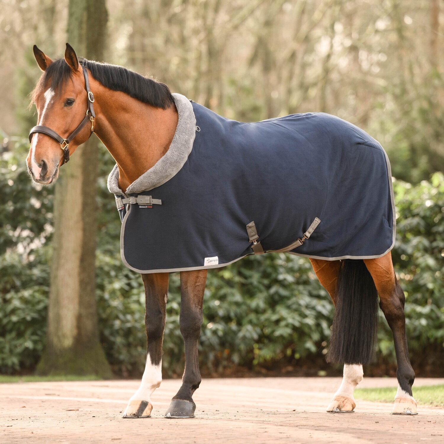 Dominick - fleecedeken cosy collar