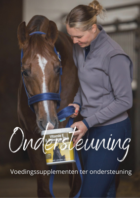 Ondersteuning