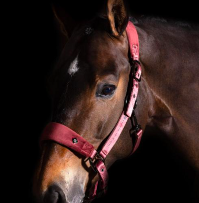 Imperial Riding - Halster Shade Dark Rosy