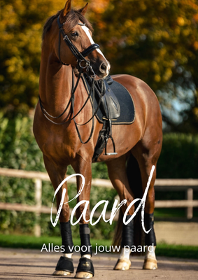 Alles voor het paard