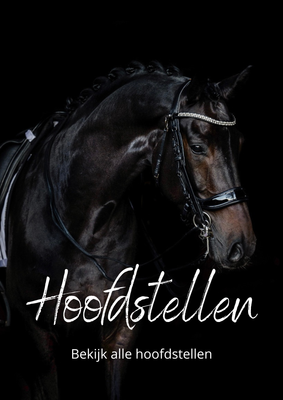 Hoofdstellen