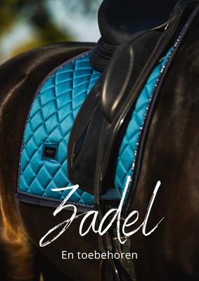 Zadel en Toebehoren