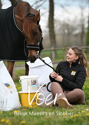 Voer