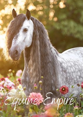 Equine Empire 