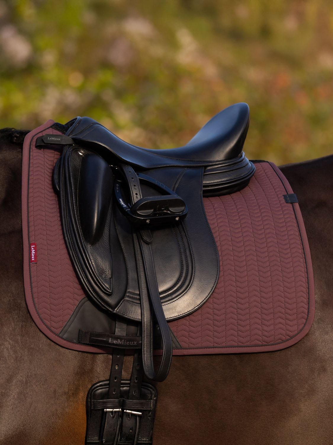 Lemieux - Essence Dressage Square Damson