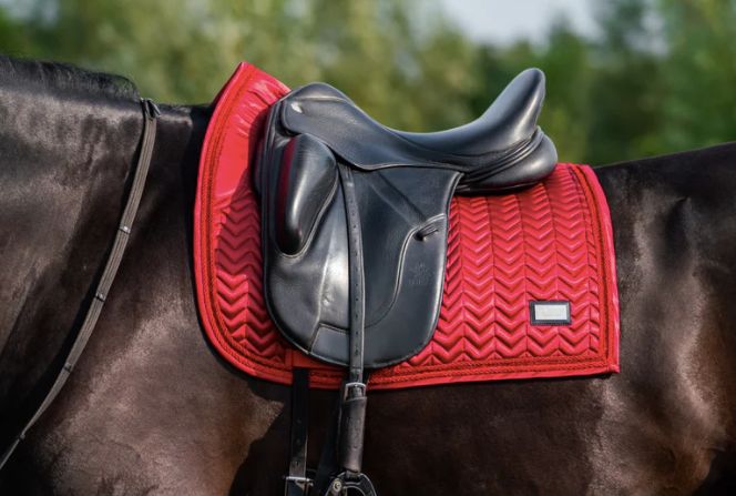 Hopmans Equestrian - Bordeaux