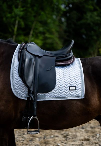 Hopmans Equestrian - Zilver